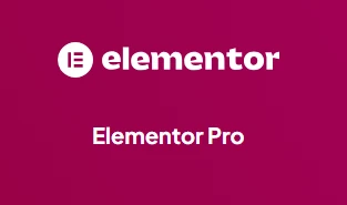Elementor Pro